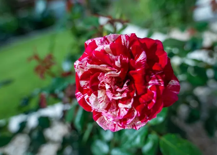 公寓 Monte Smith Luxury Garden With Parking Rhodes City